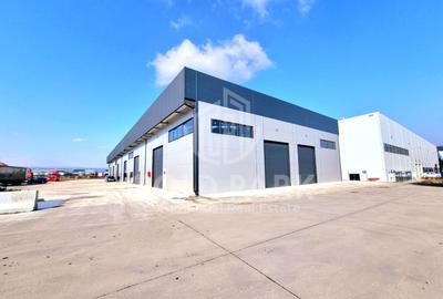 Spatiu Industrial-HALA NOUA/MODERNA-Zona Autostrazii- Curte Betonata - 1