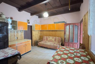 Casă 3 camere, Teren 3.263 mp, Str.Mărășești Nr.16 -Carei-Comision 0% cumpărător - 12