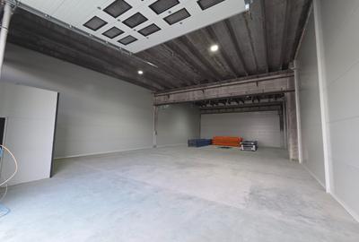 Hală industrială producție, depozitare Baciu - 180 mp - 3