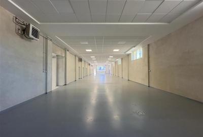 Spatiu Valea Lupului, Antibiotice, multifunctional, 334mp - 17