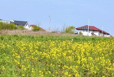 Paradisul Verde-Corbeanca,intravilan,10300mp,deschidere lac-120m,view deosebit - 5