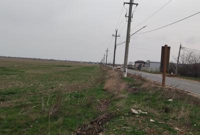 Teren Construcții intravilan de 5000 mp, în Tânganu