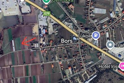 Teren intravilan de 3241 mp, în Borș