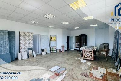 Hala industrială la cheie 2760mp teren 13.000mp, Fântânele Jud. Arad - 6
