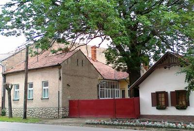 Vânzare casa 8 camere - 1