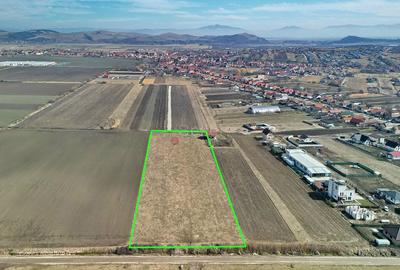 Teren Construcții extravilan de 14200 mp, în Bod