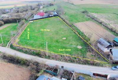 TEREN  intravilan  2879 mp DOBRENI - 1