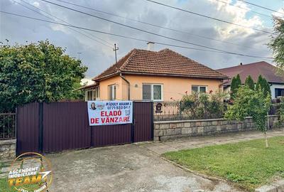 FILM&3D! Casa ospitaliera,curte si gradina asortata,arie linistita,Simeria,Sfant - 1