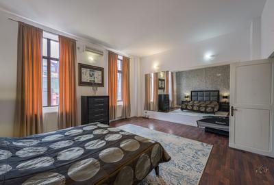 Business cu identitate: Apartament Unirii , demisol, parter si curte accesibila - 20
