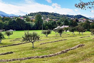 Teren superb de 16240mp, parcelabil, in Bran la intrare in Moeciu de Jos - 13