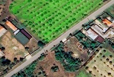 Teren vanzare, 8000 m2, Danicei, Cuca, Arges - 3
