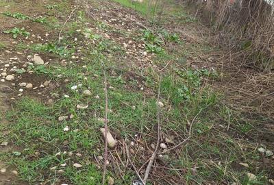 Teren intravilan Ploiesti-Zona Bariera Bucov - 3
