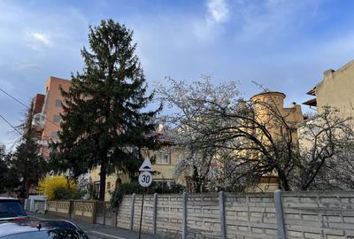 Casă individuală cu 7 camere în Herăstrău