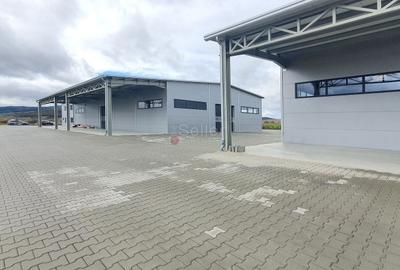 Productie Depozitare Logistica - 10