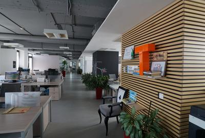 Comision 0% ! Birou premium in zona Piata Victoriei - 4