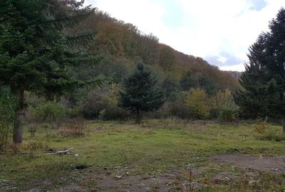 Teren Construcții intravilan de 5755 mp, în Lendt