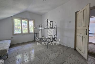 Casa de vanzare, potential pensiune, pe malul Timisului,Sag,comision 0 - 24