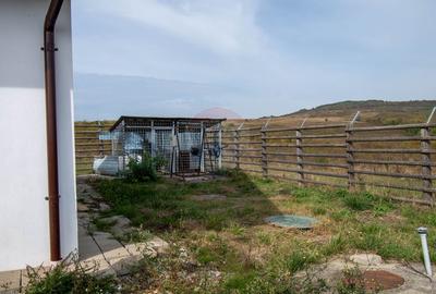 Ferma moderna de porci de vanzare in Curtuiusu Dejului - 21