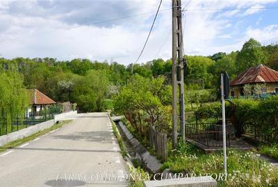 ZONA SUPERBA - TERENURI DE VANZARE - 22