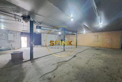 Hale de inchiriat Doamna Ghica, Baicului, ideal depozitare - 1