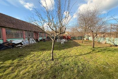Teren cu deal, panoramă și potențial de investitie – Cornești - 7