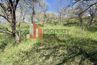 Teren 2500 mp Sohodol - 9