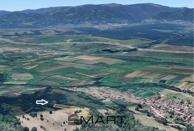 Teren extravilan 5500 mp, la padure zona Selimbar (Mohu) - 1
