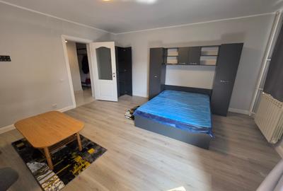 Decebal, rond Alba Iulia, renovata, mobilata si utilata, 10 minute metrou - 9