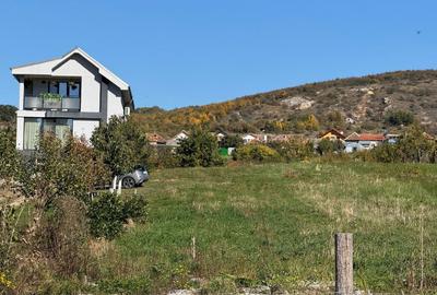 Teren intravilan in localitatea Betfia - 4