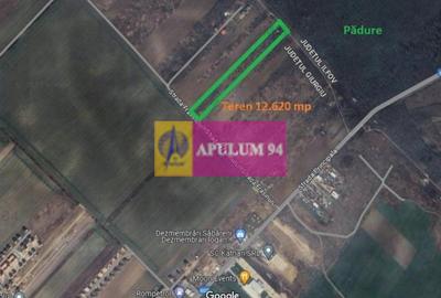Săbăreni, teren 12620 mp pentru case, lângă pădure - 1