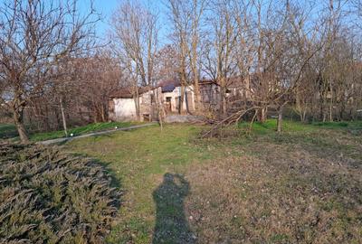 Casă în UNGARIA – Nagylak (Nădlacul Nou) 2  km de granița cu România - 17