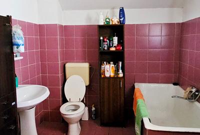 Vila P+1+5600 mp teren, proprietate de 5 km de oras - 13