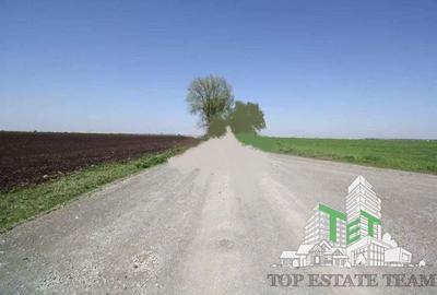 Teren  de vazare pt investitie, Sinesti, 4 eur / mp, 21000mp , Ialomita - 4