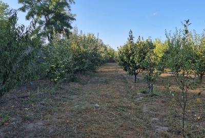 Casă de vânzare în comuna Făcăeni, județul Ialomița – teren 2600 mp, casă nouă, - 15
