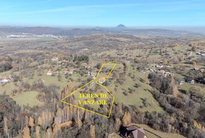 Teren intim si retras in Bran Predelut - 5