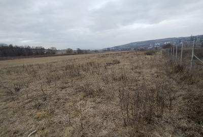 Teren Intravilan de vânzare, 4300mp, front 25 ml, Borhanci - 6