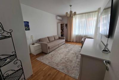 Garsoniera Dristor - complex Baba Novac Residence - 1