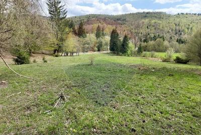 Poienita 2800mp, Covasna, zona hotel Clermont, inconjurat de padure - 19