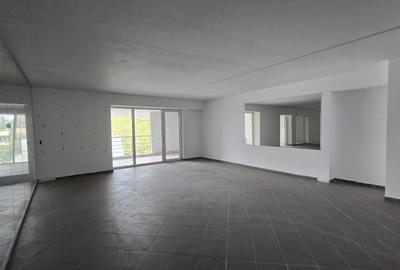Spatiu comercial de inchiriat Podul Constanta - Chitila - Bucurestii Noi - 12