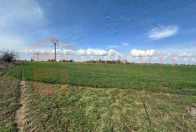 Teren 18.000 mp de vanzare, DN -Stația Meteo spre Valu lu Traian - 1