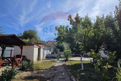 Casă individuală cu 8 camere în Central