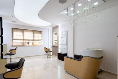 Vila Superba - 8 Parcari - Curte 250 MP - Mobilata LUX - Ocazie rara - 6