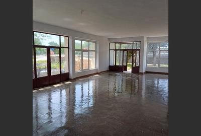 Spațiu comercial de inchiriat, la drum principal, localitatea Daia - 8