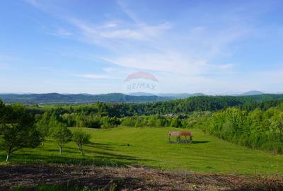 Teren 15,000mp Sighetu Marmatiei / Strada Mocanitei - 1