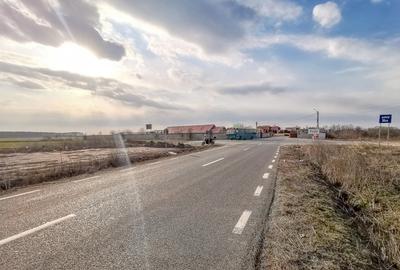 Teren intravilan la asfalt si statie autobuz Ilfov Cernica Posta - 3