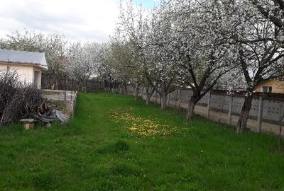 Vând grădină în Tg.Frumos - 3