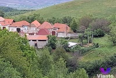 Casă în Poiana Sibiului | 909 mp teren | livadă și anexe gospodărești - 4