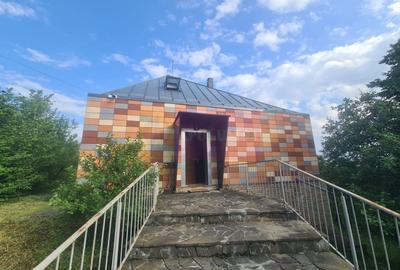 Vila de vanzare cu 6 camere in Cornu (teren 6.600 mp) - 4