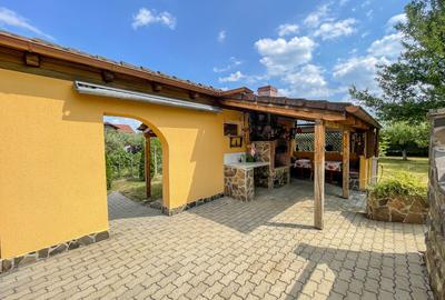 Casă 412 mp și teren de 1700 mp, zona Bercu Roșu – Pescăruș - 11