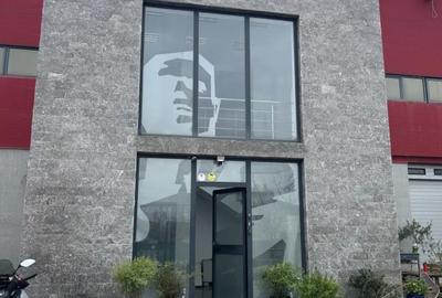 Spatiu Birouri sau | zona 2 cocosi | sector 1 | 3' metrou Straulesti - 1